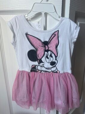 Disney White Bodice with Pink Tulle Skirt